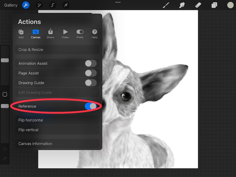 procreate reference feature dog drawing