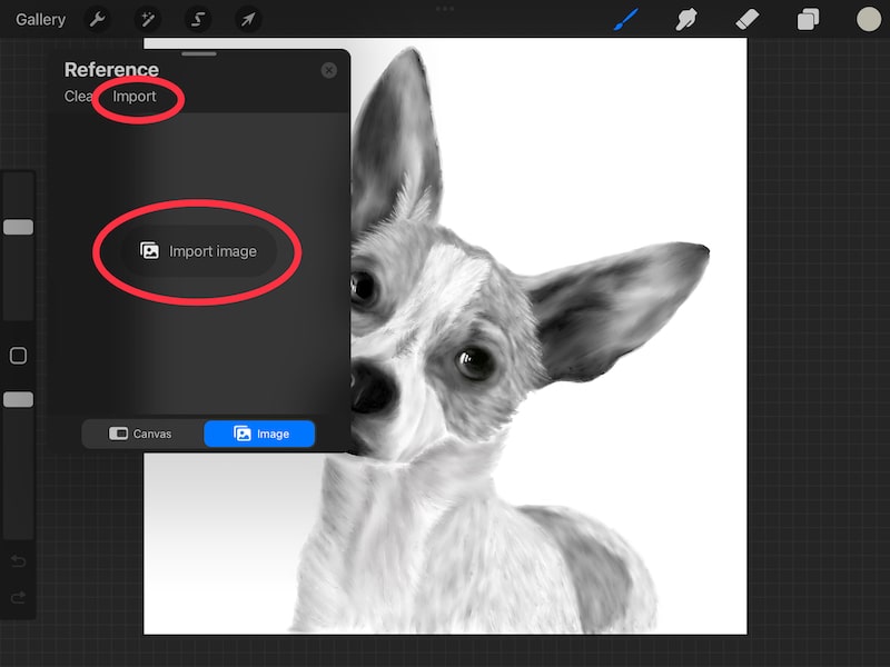 procreate reference feature import photo dog drawing