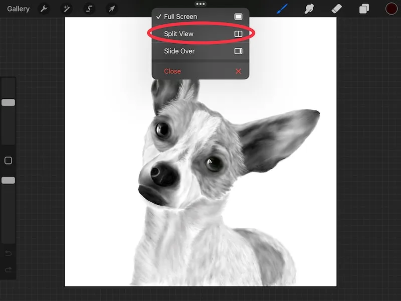 procreate split view option dog drawing