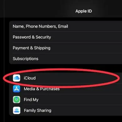 ipad icloud settings