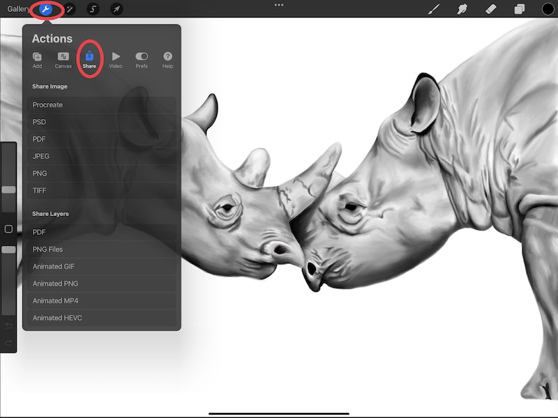 procreate actions menu share tab rhino drawing