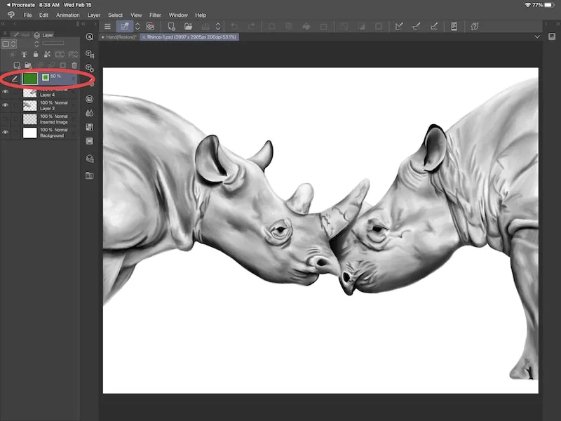 procreate art in csp green layer rhino drawing