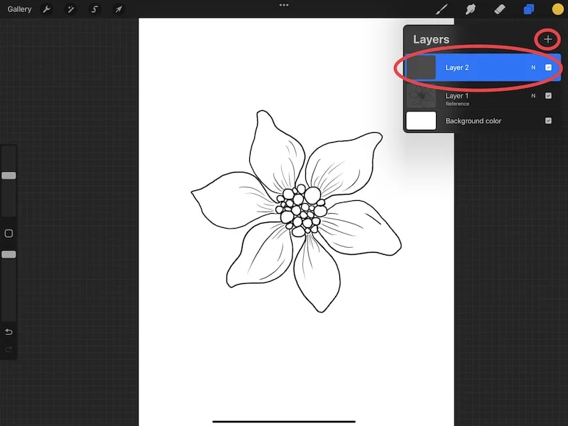 procreate add layer above reference layer flower drawing
