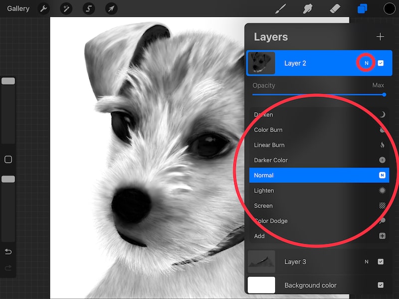 procreate blending modes draw on layer dog drawing