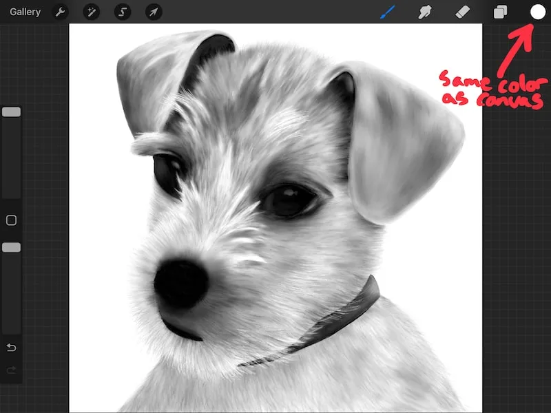 procreate brush color same color as canvas dog drawing