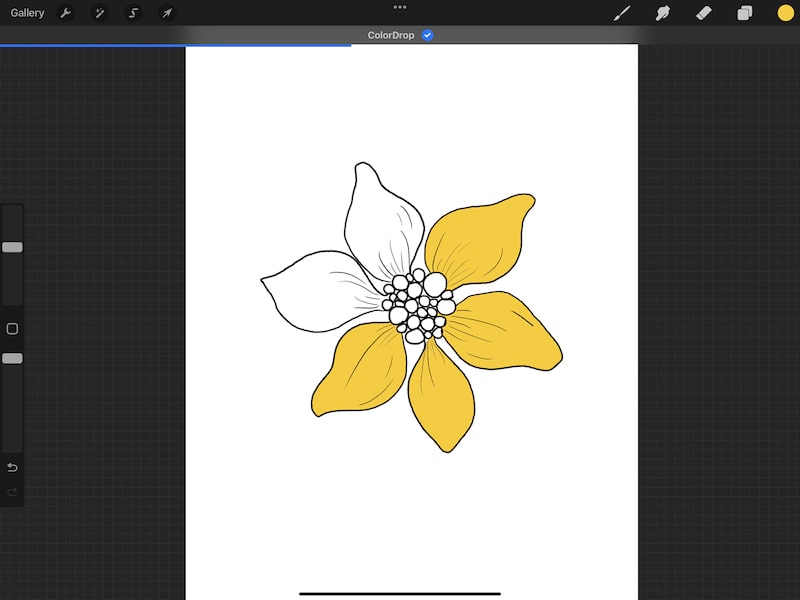 procreate reference layer continue filling yellow flower drawing
