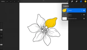 procreate reference layer with flower drawing