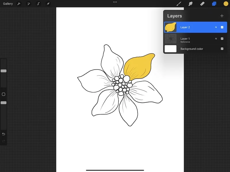 procreate reference layer yellow added flower drawing