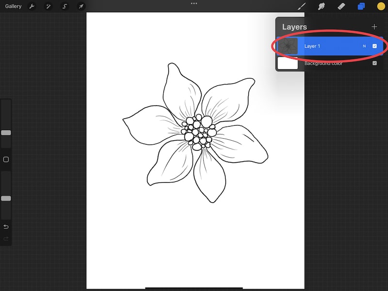 procreate showing active layer flower drawing
