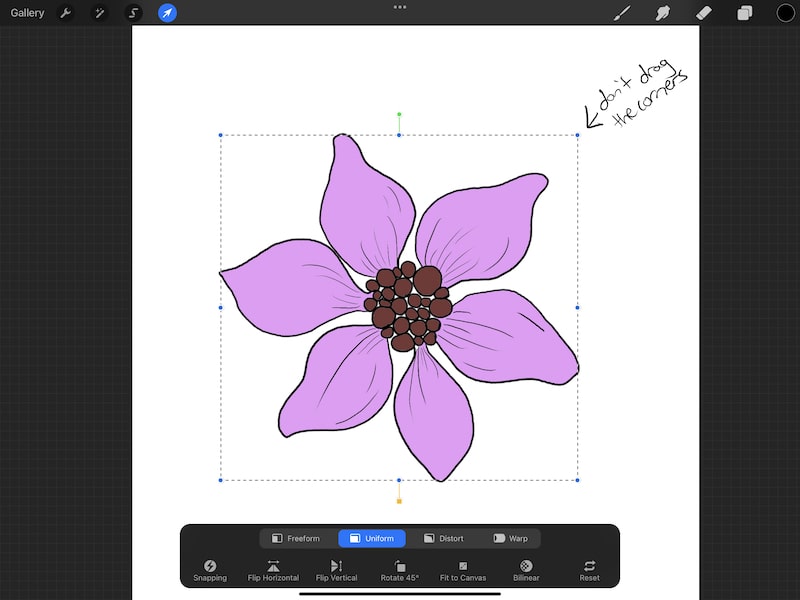 don't drag the corners move selection flower drawing