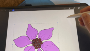 moving a selection stylus flower drawing