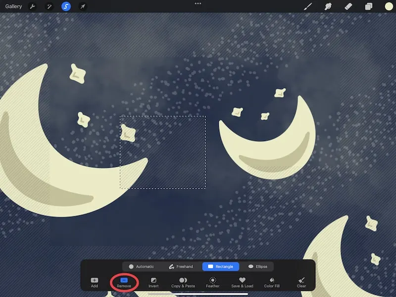 procreate selection tool remove option rectangle