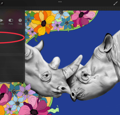 procreate insert a photo button rhinos