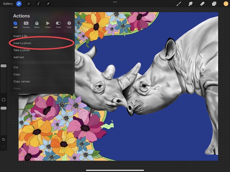 procreate insert a photo option rhino design
