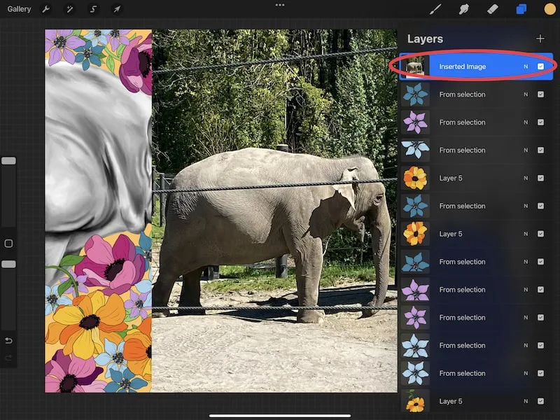 procreate insert photo as layer elephant