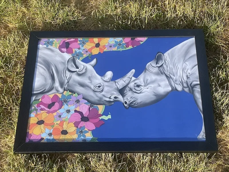 framed rhino drawing gelato