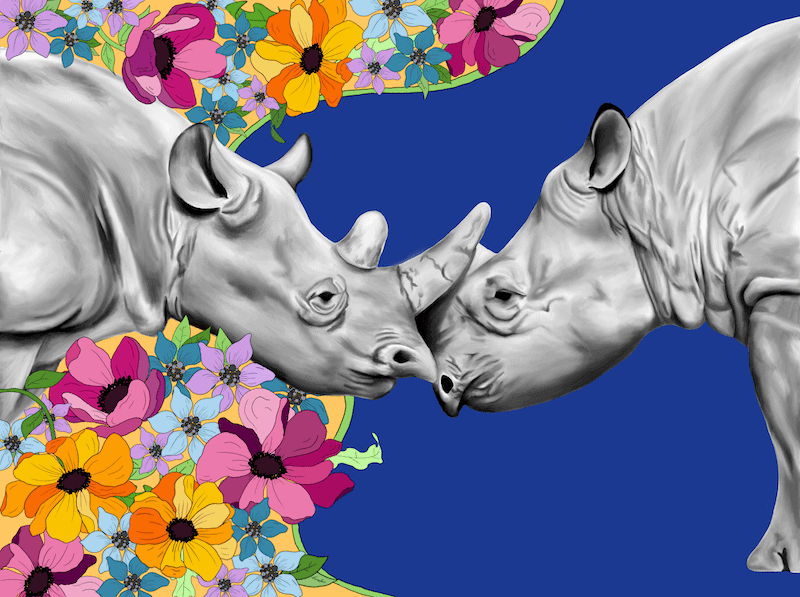 Rhinos with flowers