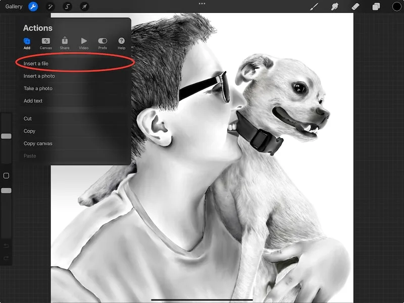procreate insert a file dog drawing