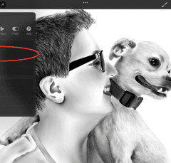 procreate insert a photo button dog drawing cover image