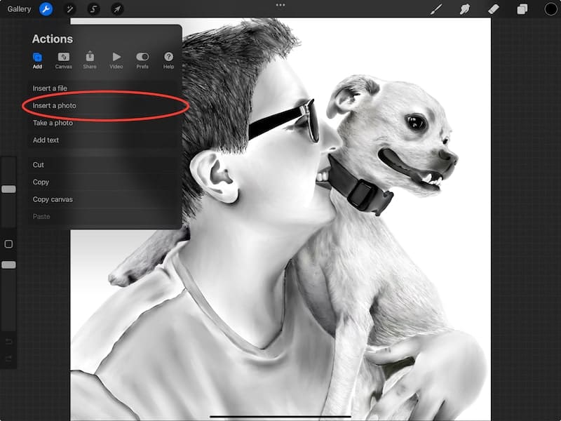procreate insert a photo button dog drawing