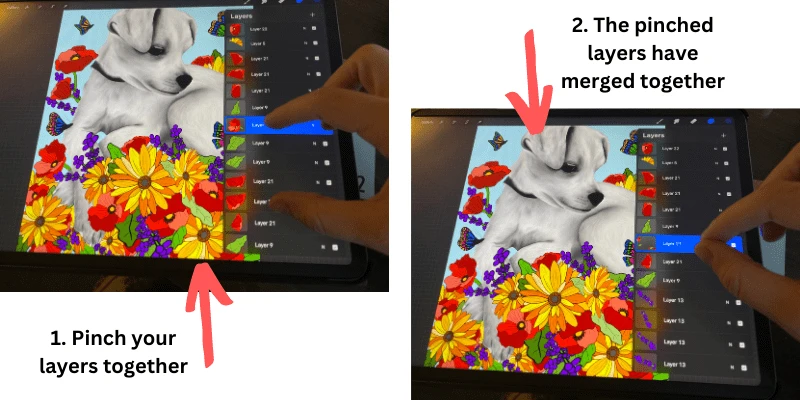 procreate merge layers with pinch gesture and shortcut